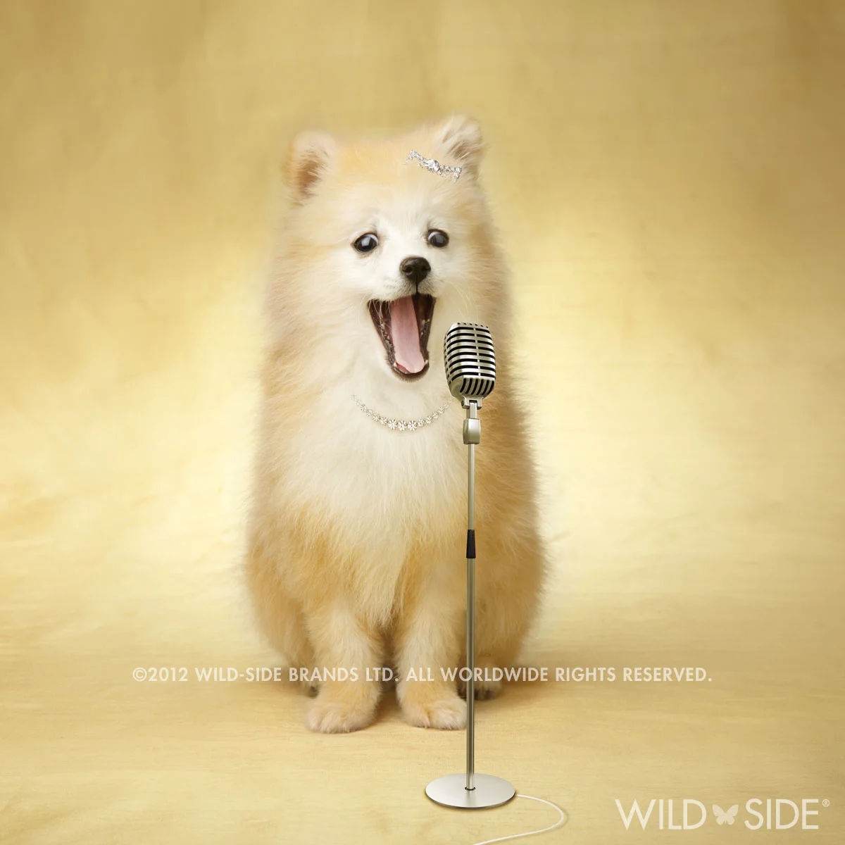 Collection: Assorted Animals Code: WS-LD-0112