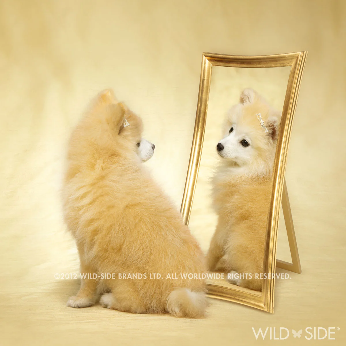 Collection: Assorted Animals Code: WS-LD-0113