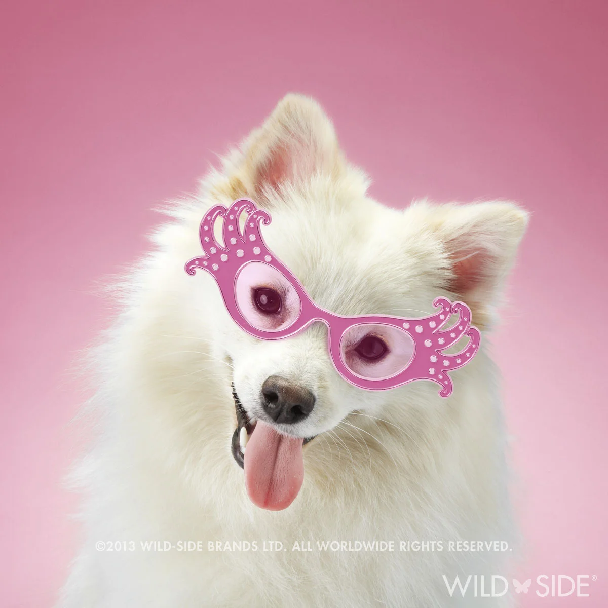 Collection: Assorted Animals Code: WS-DG-0505