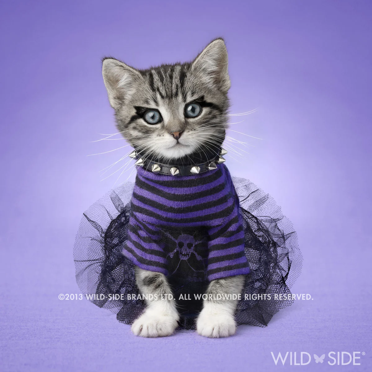 "SKYLAR" Collection: Pet Stars Code: WS-PS-0101