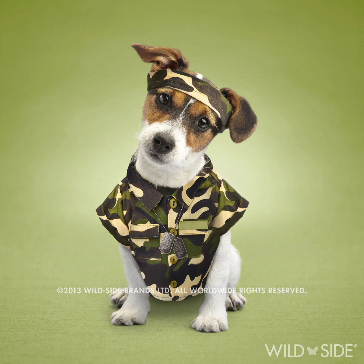 "MAX" Collection: Pet Stars Code: WS-PS-0111