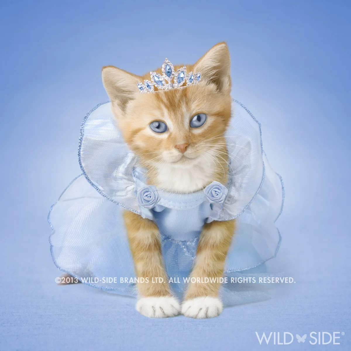 "SOPHIA" Collection: Pet Stars Code: WS-PS-0106
