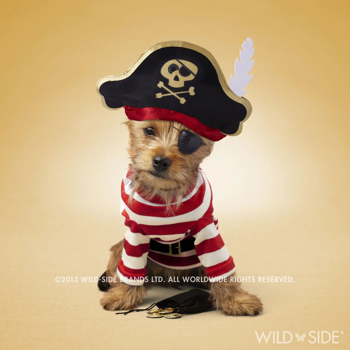 "JACK" Collection: Pet Stars Code: WS-PS-0109