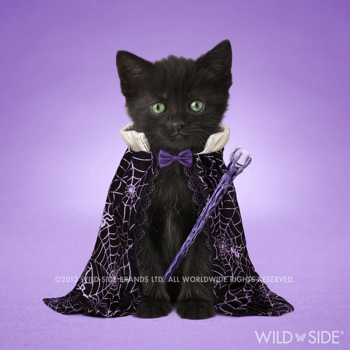 "OSCAR" Collection: Pet Stars Code: WS-PS-0114