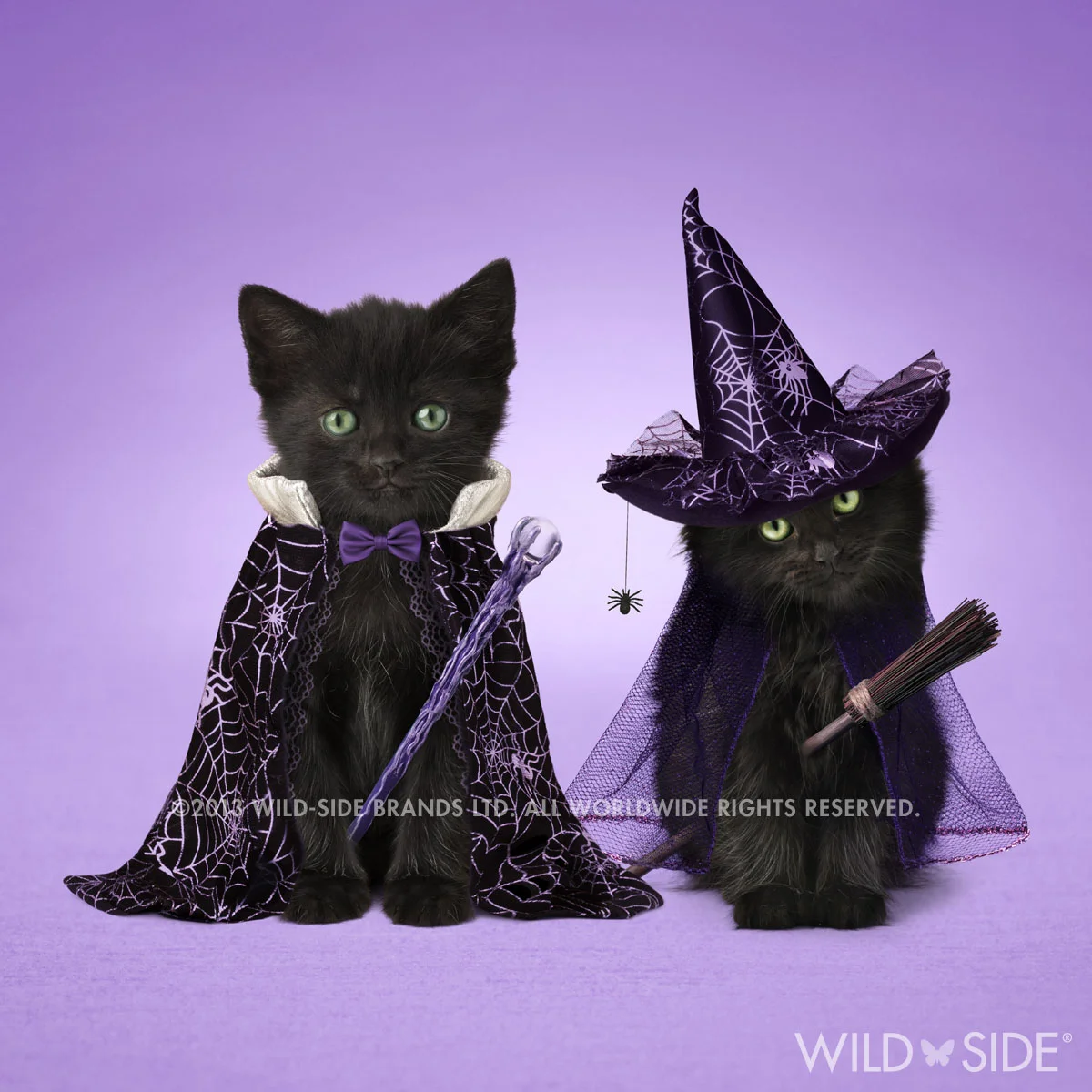 "MEGAN & OSCAR" Collection: Pet Stars Code: WS-PS-0116