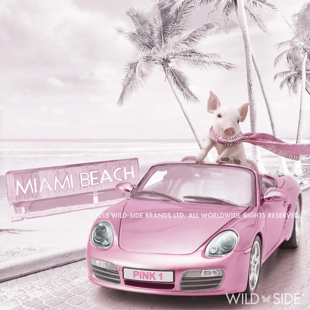 Collection: In The Pink! Code: WS-PG-0606