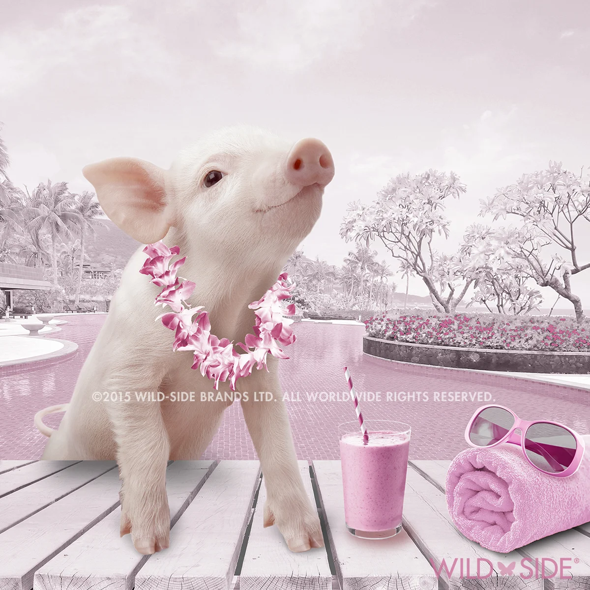 Collection: In The Pink! Code: WS-PG-0609
