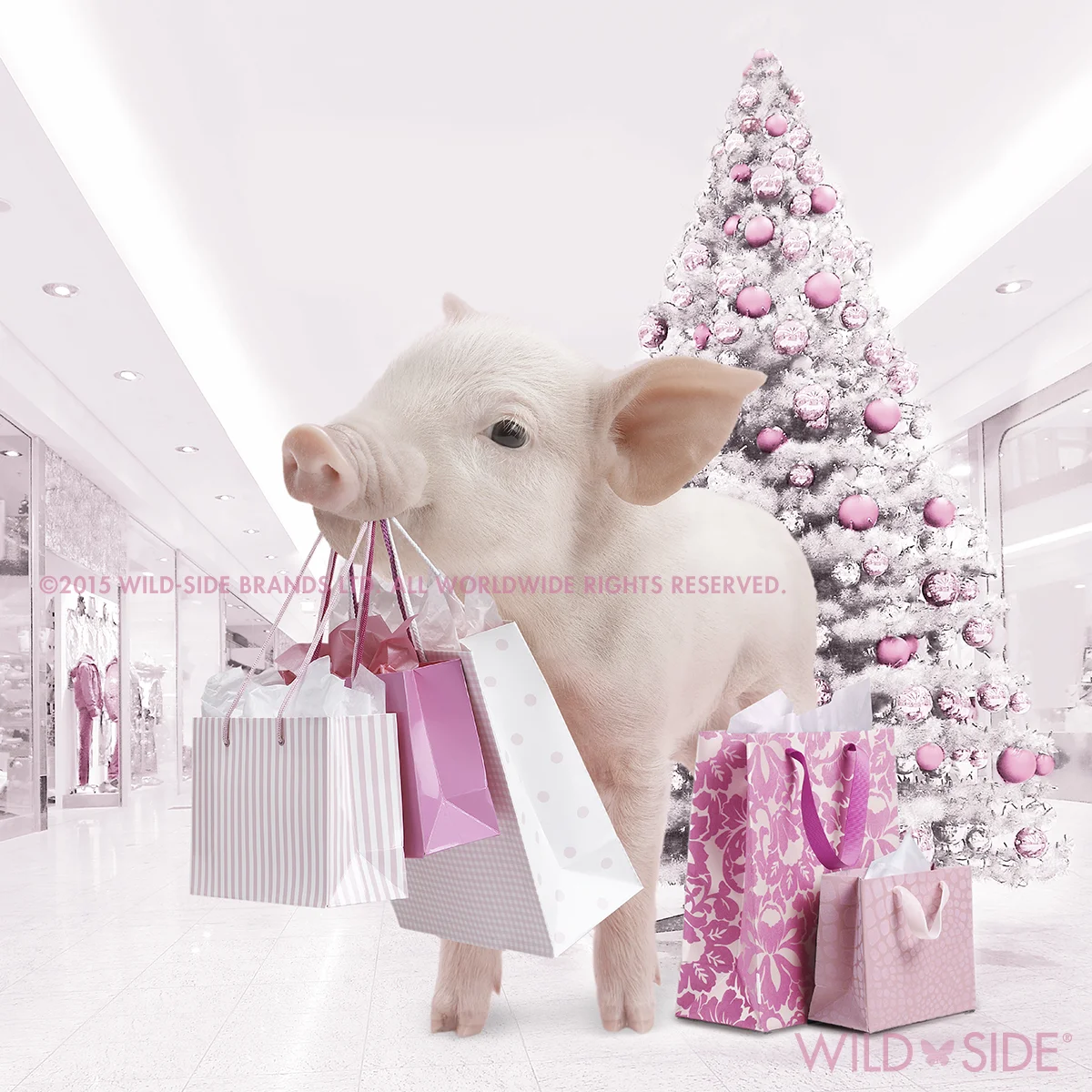Collection: In The Pink! Code: WS-PG-0611