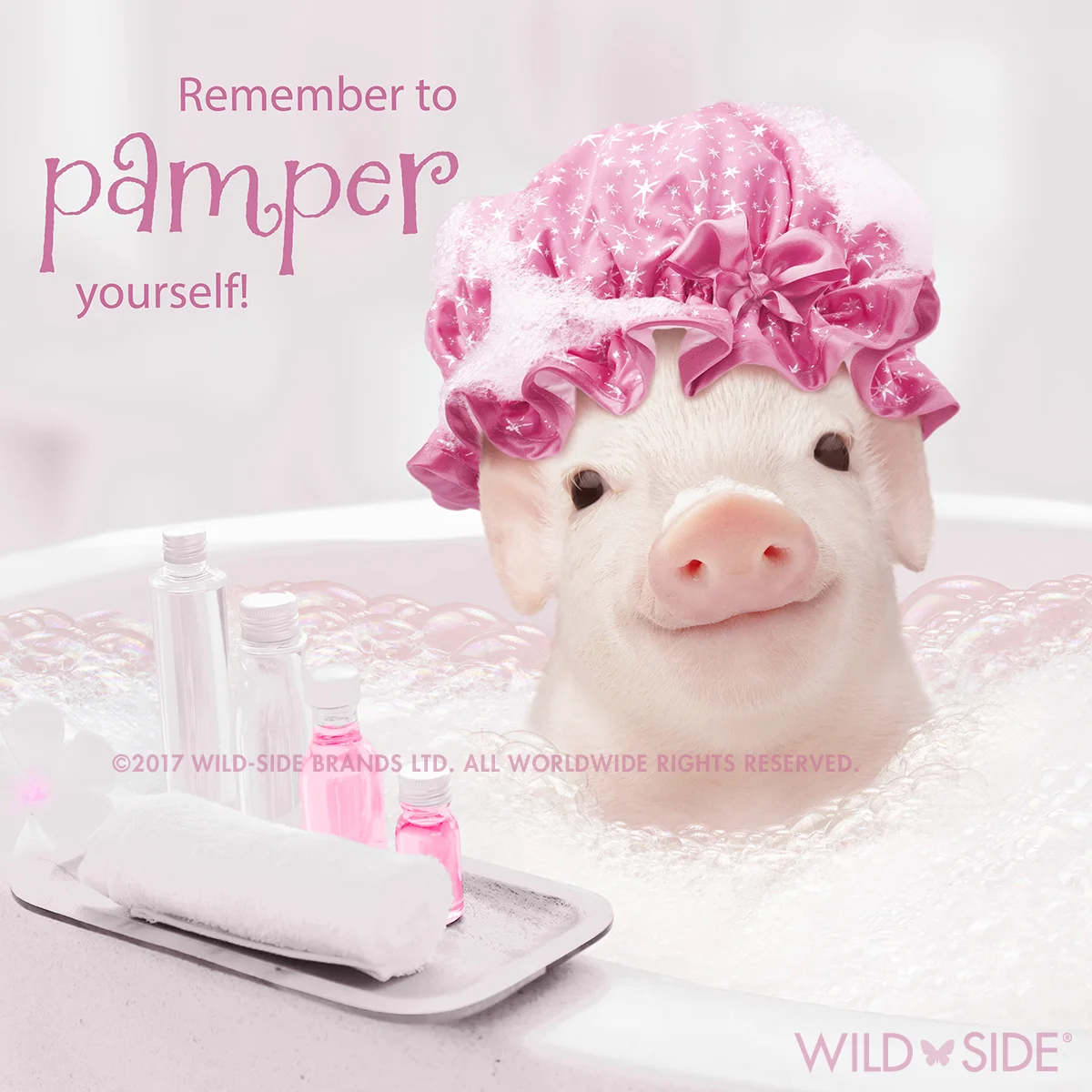 Collection: In The Pink! Code: WS-PG-0701
