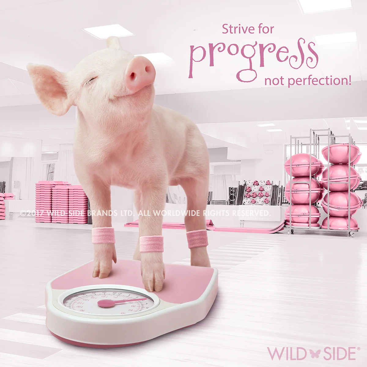 Collection: In The Pink! Code: WS-PG-0703