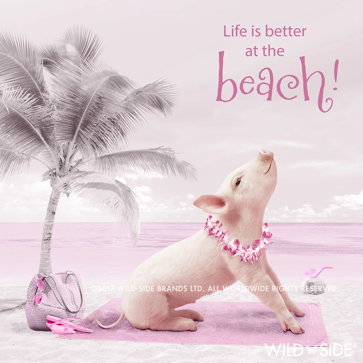Collection: In The Pink! Code: WS-PG-0710