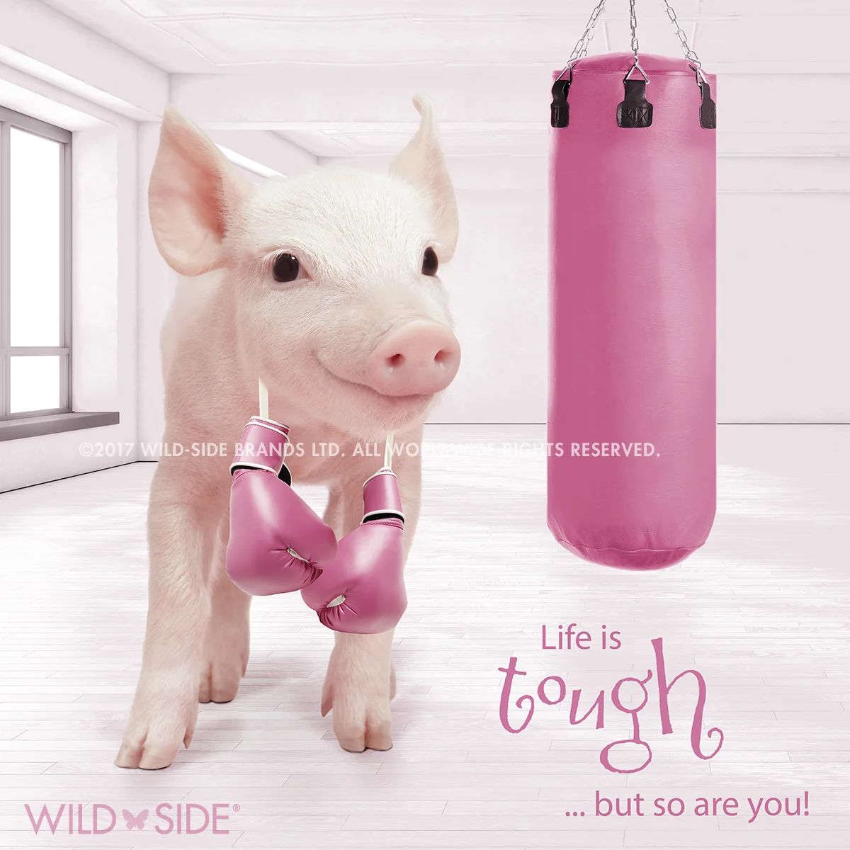 Collection: In The Pink! Code: WS-PG-0712