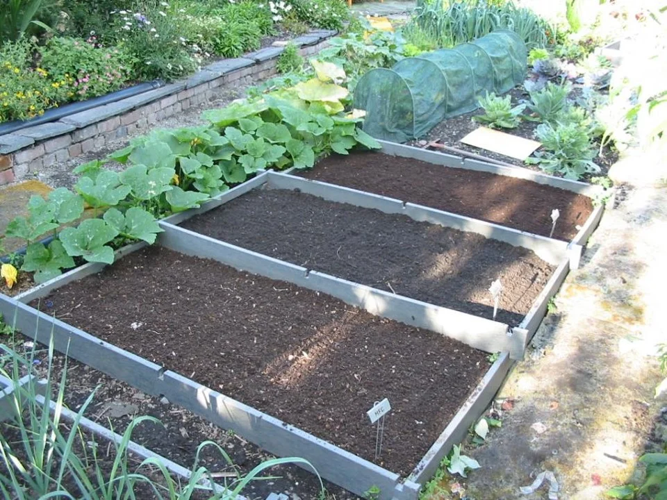 This is a system I used to compare the qualities of different composts. Each bed has a different compost, and I would simply plant rows across all three beds and observe (and measure) the results.