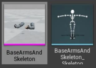 The skeletal mesh and skeleton asset imported into UE4