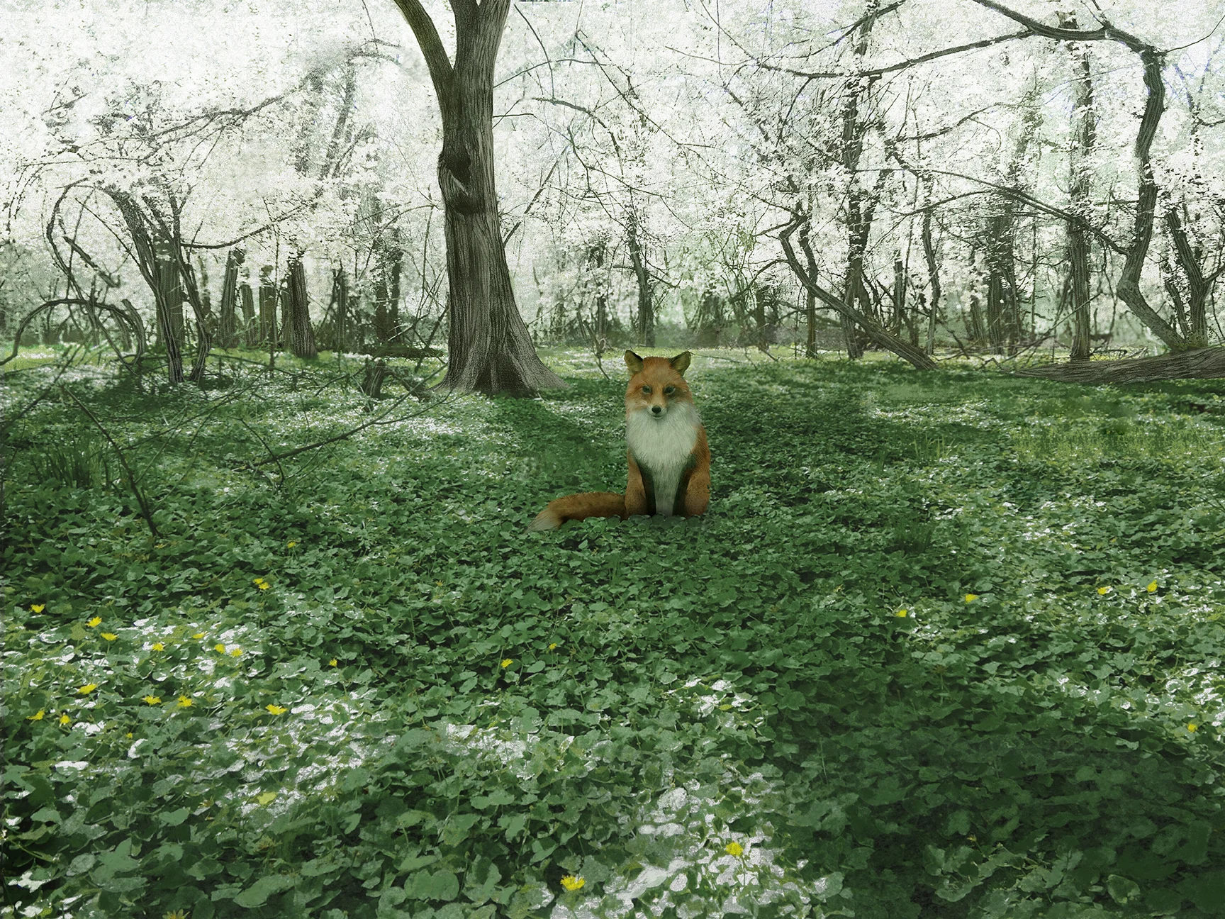 Into The Woods