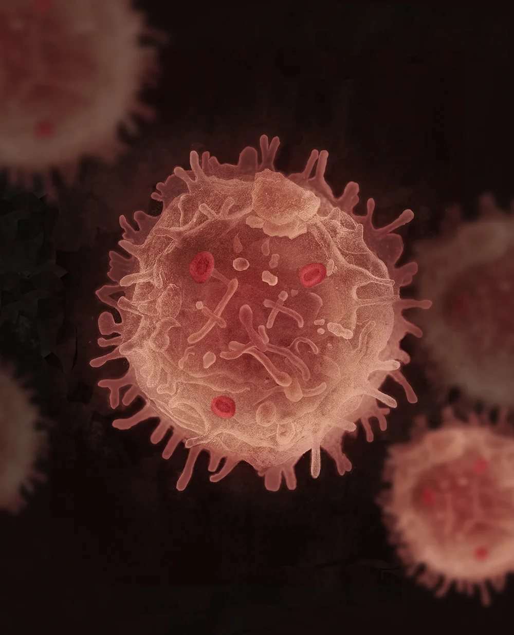 Stem Cells