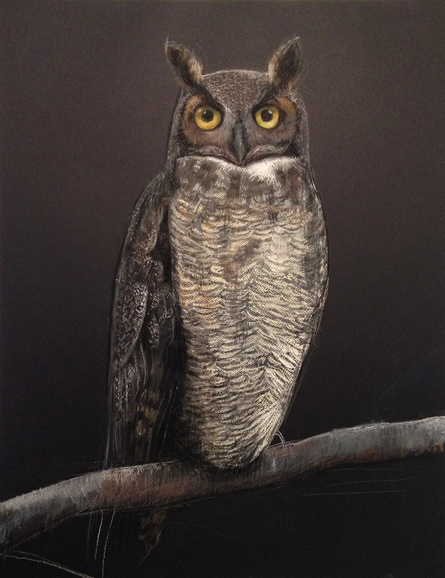 Great horned owl