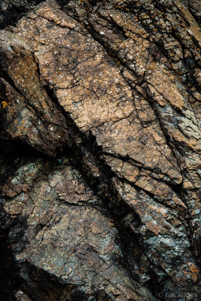 Bronze serpentine