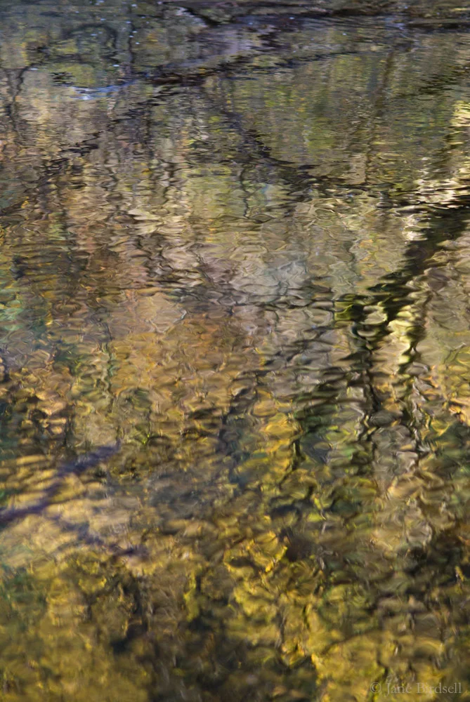 Impressionist reflection, Lake Vyrnwy
