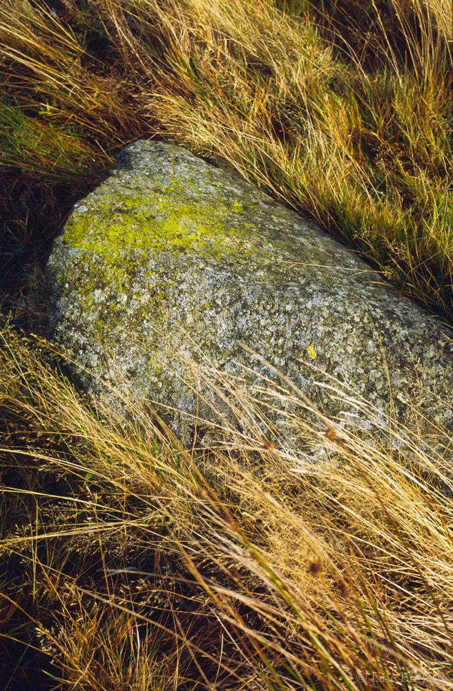 Hoarstone, blown grass