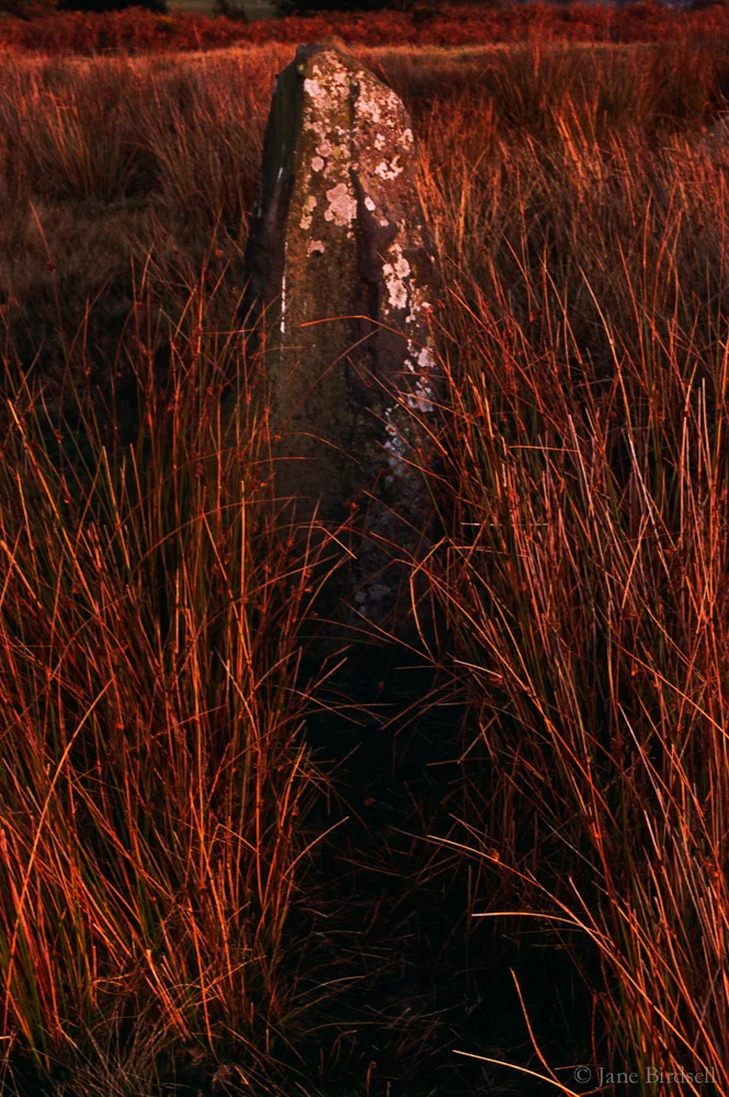 Twilight stone, Mitchell's Fold