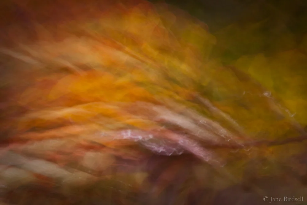 Autumn storm light