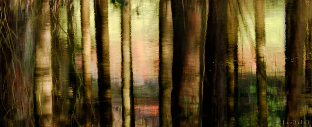 Stripes, Lake Vyrnwy: £45 (A4)