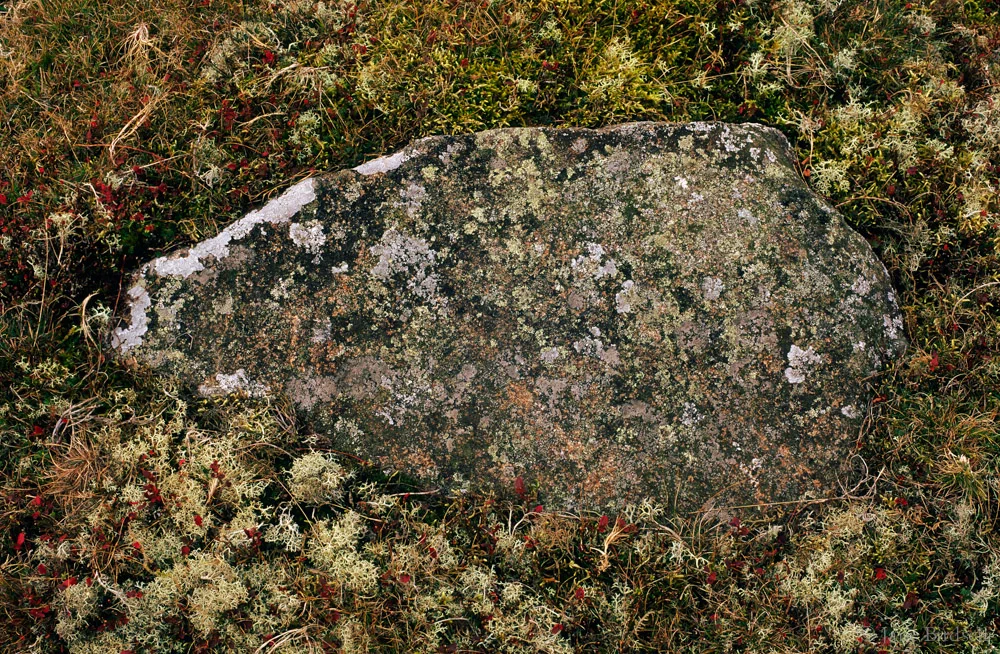 Boulder, Stapeley Hill: £75 (A3)