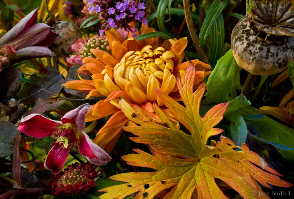 November vase: £30 (A5)