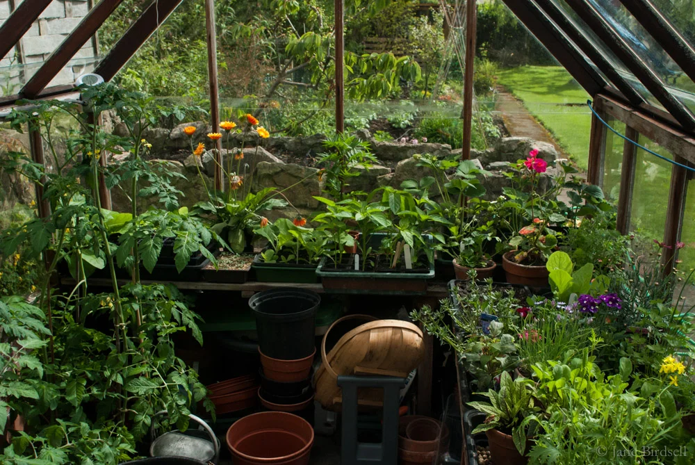 Greenhouse abundance
