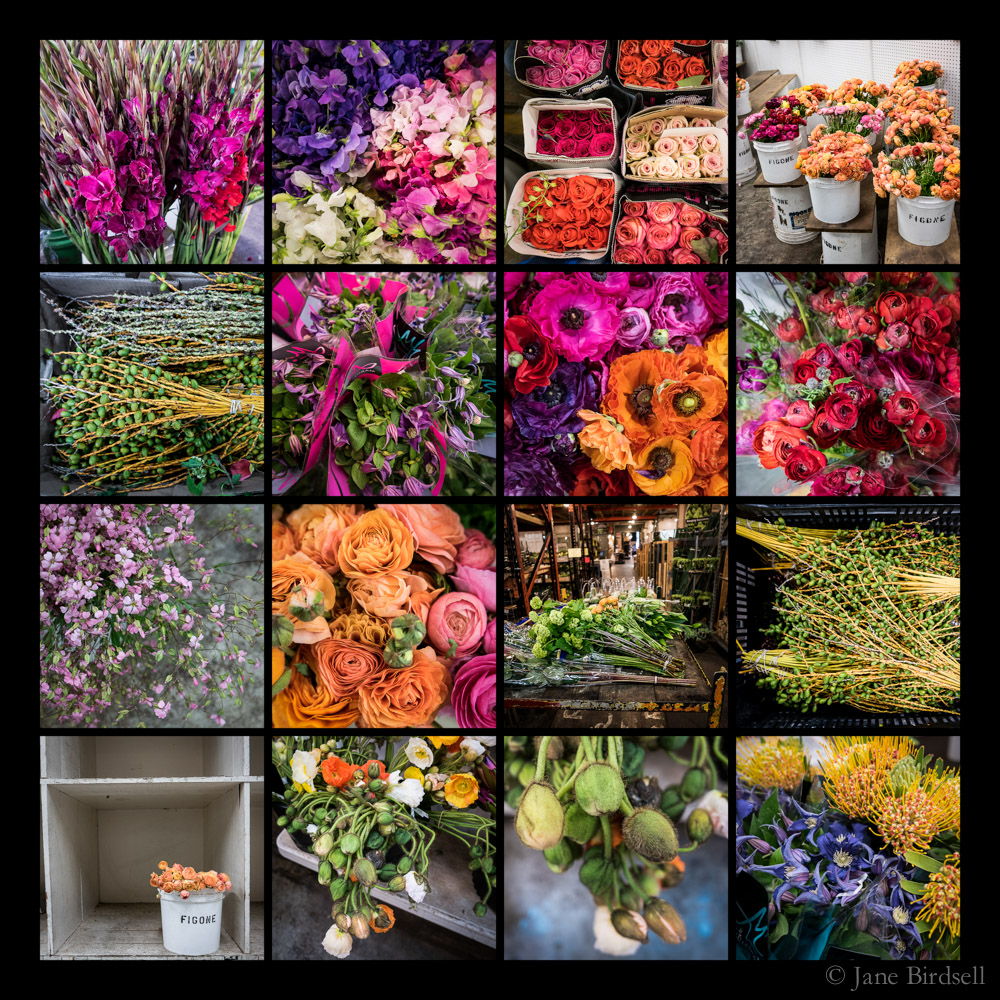 San Francisco Flower Market, April