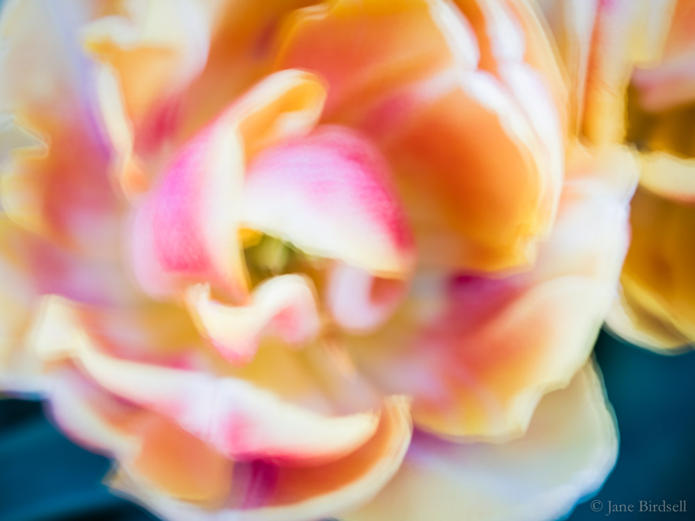 180511bDSCF4633.jpg