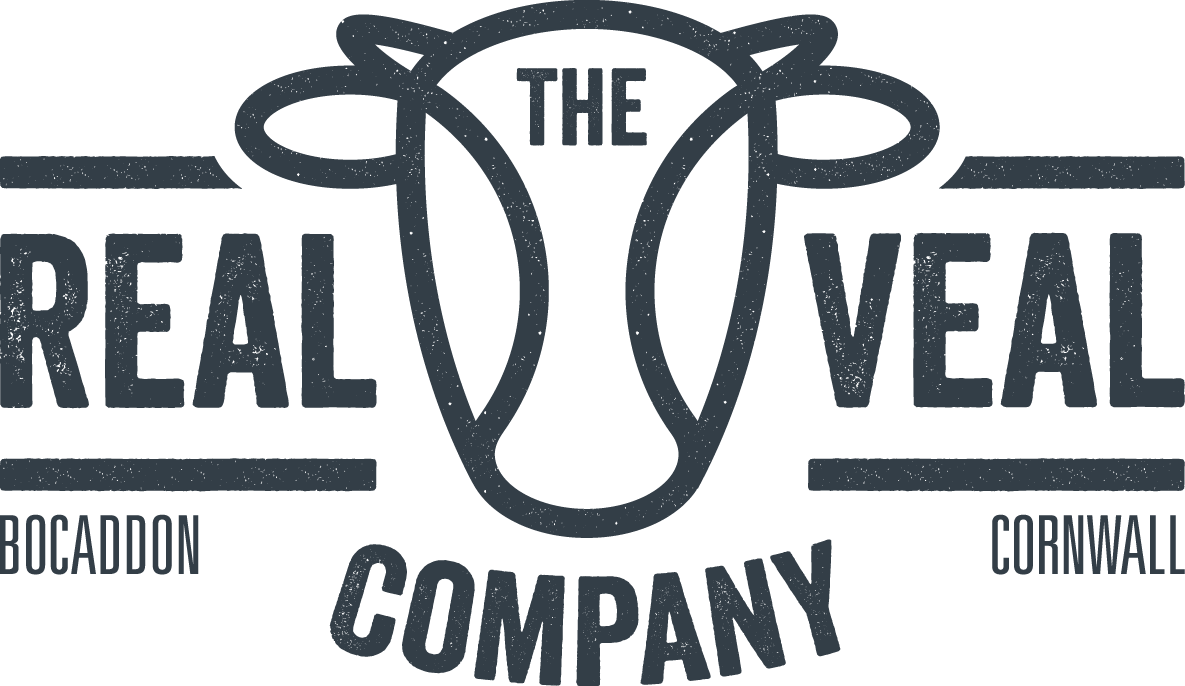 RV Logo 1(P432).png