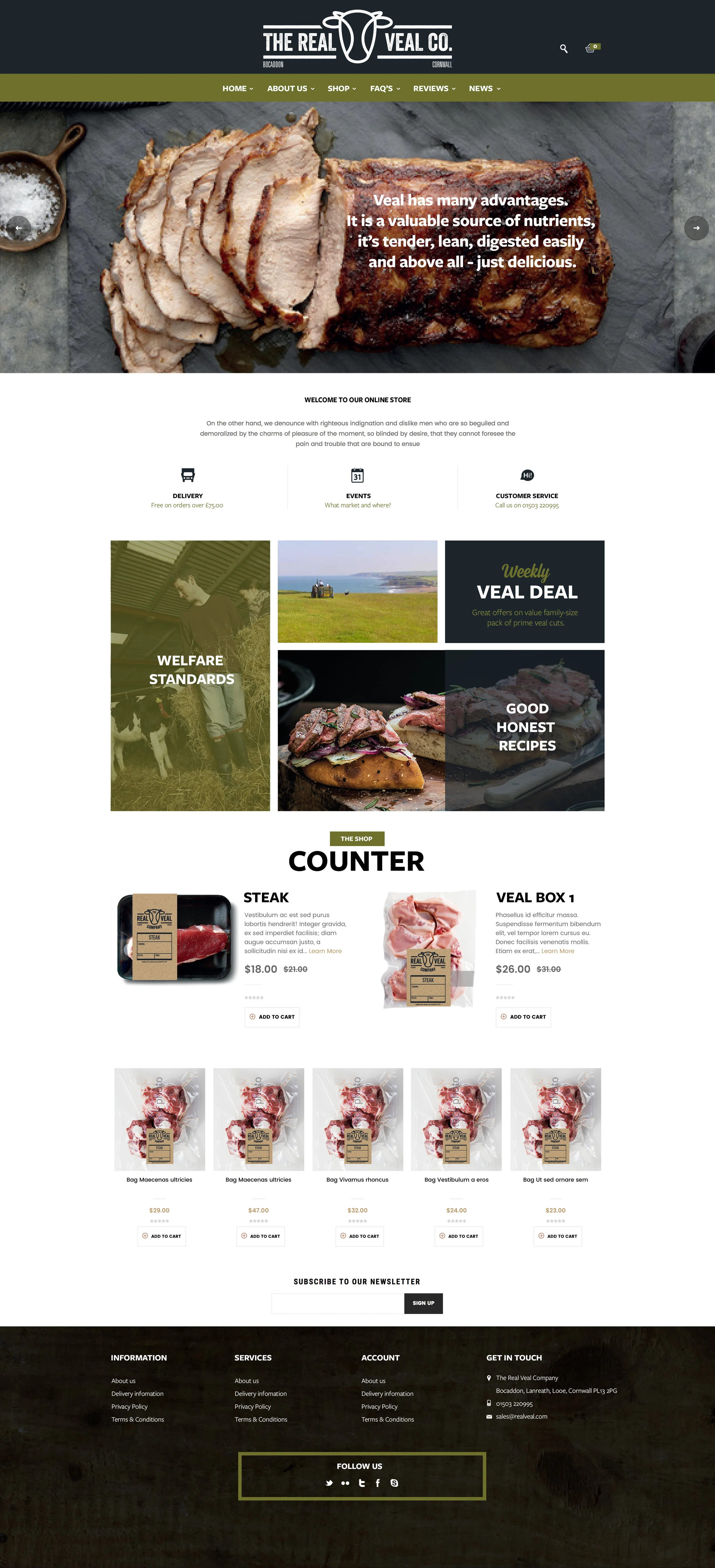 Website design