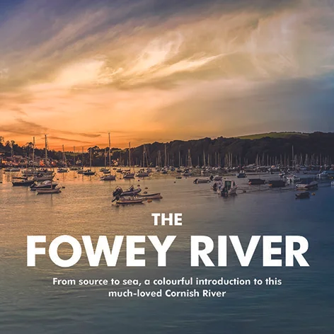 Fowey River Book Cover.jpg
