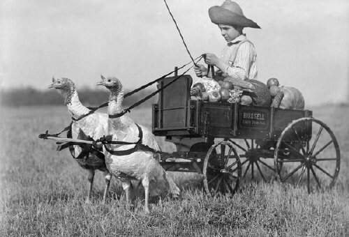 SDBC/MGE Racing Turkey Ride &amp; Hunt To Elfin Forest