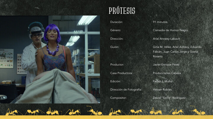 EPK Prótesis ESPANOL WEB.002.jpeg