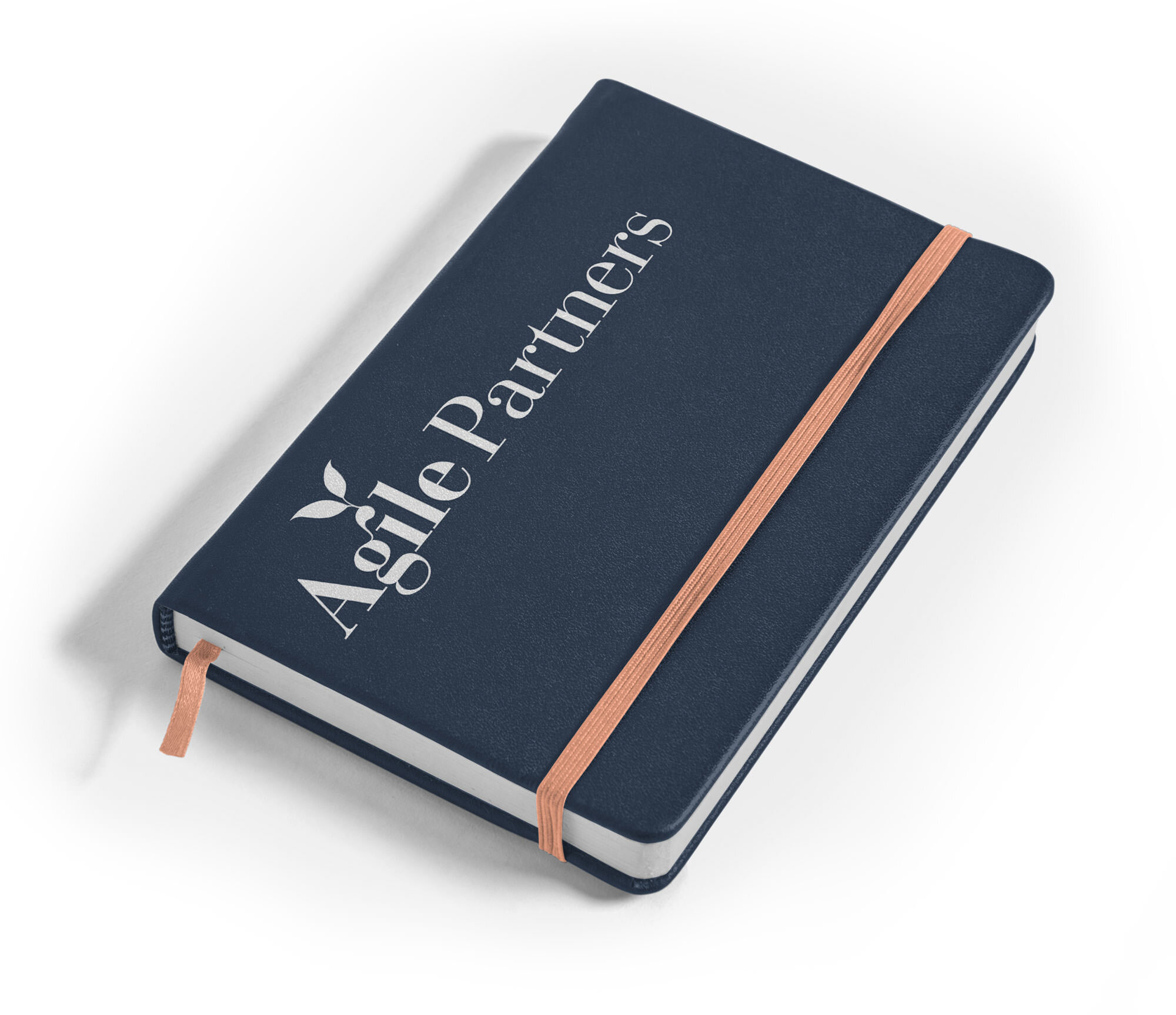 AgilePartners_Diary.jpg