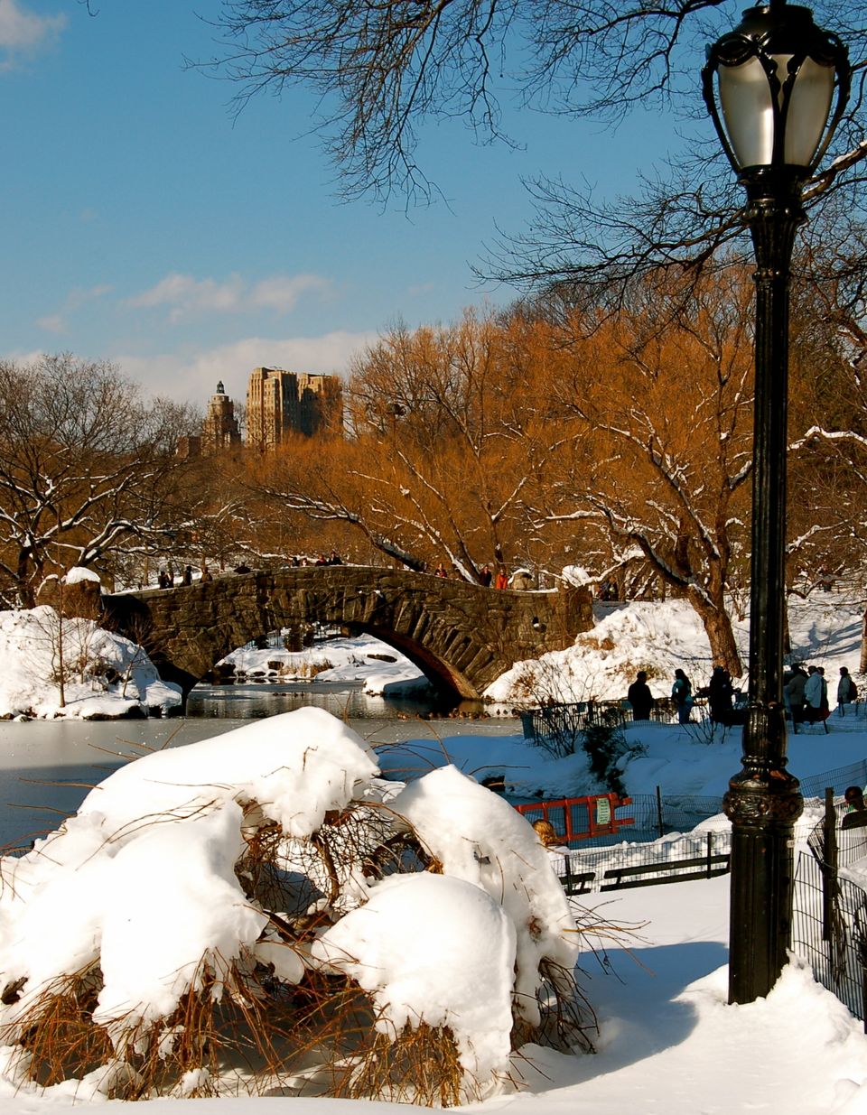 Central Park, NYC.