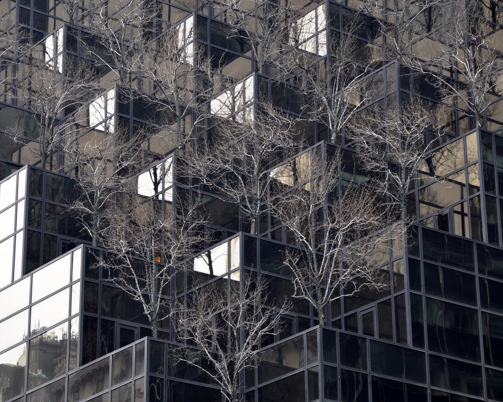 Trump Tower, Fifth Avenue, NYC.