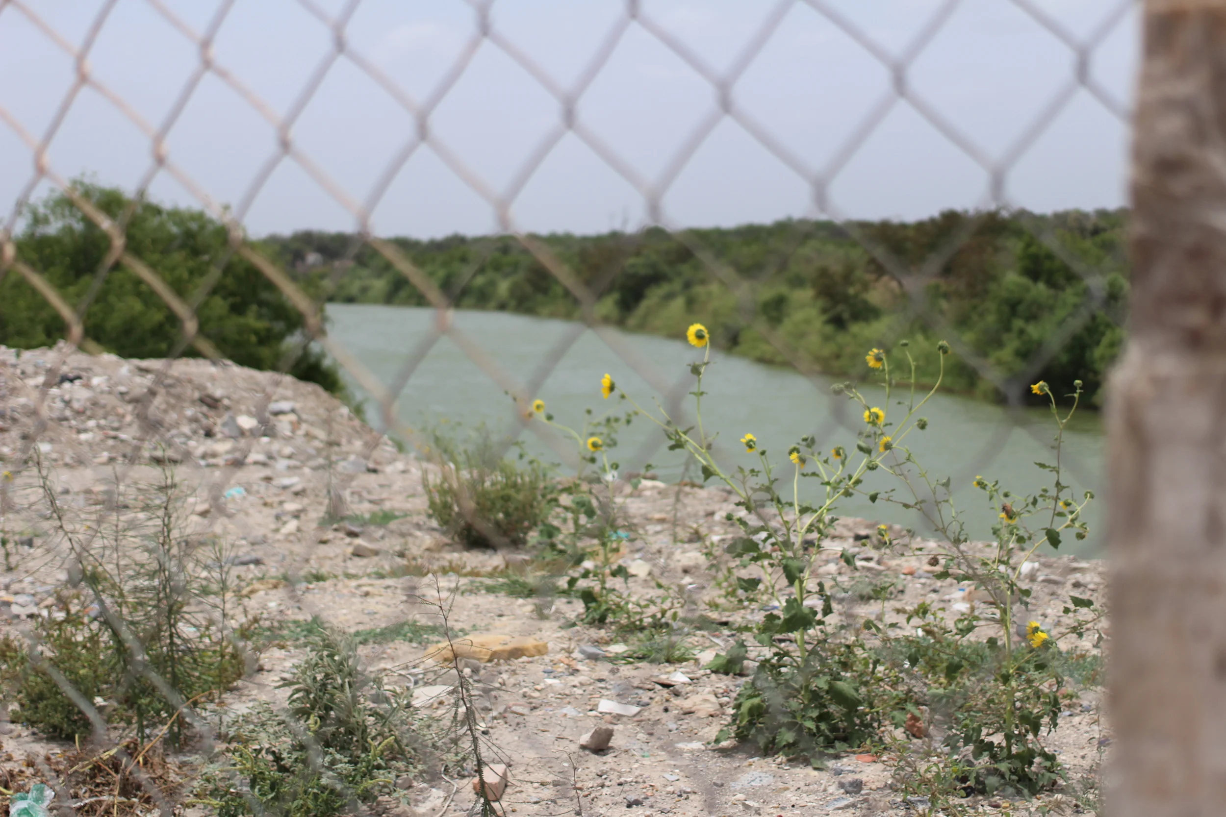 Meet Luis. He Fled Gangs in Honduras. But the U.S. Probably Won't Protect Him.