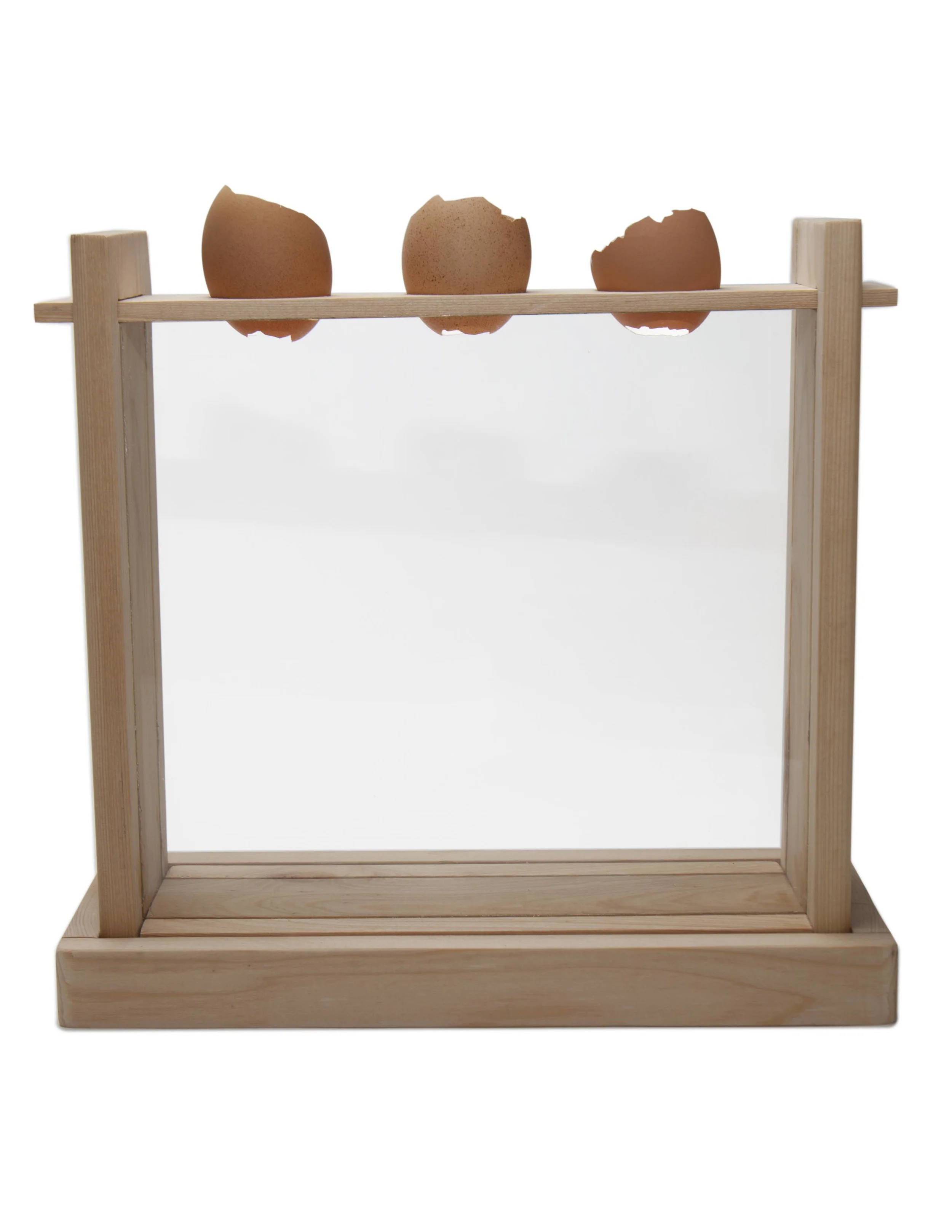 eggs in planter wholes.jpg