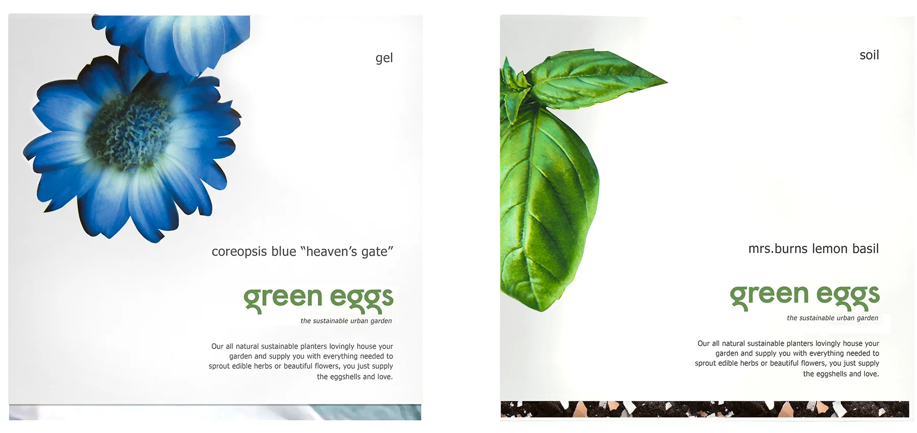 green eggs both boxes xsmall.jpg