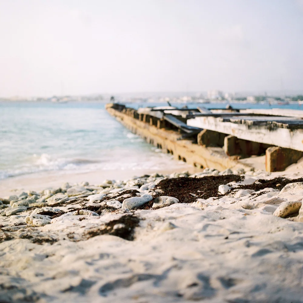 Sam Burton_Barbados 2015-80.jpg