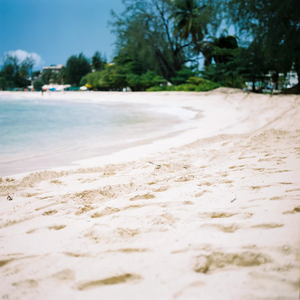 Sam Burton_Barbados 2015-14.jpg