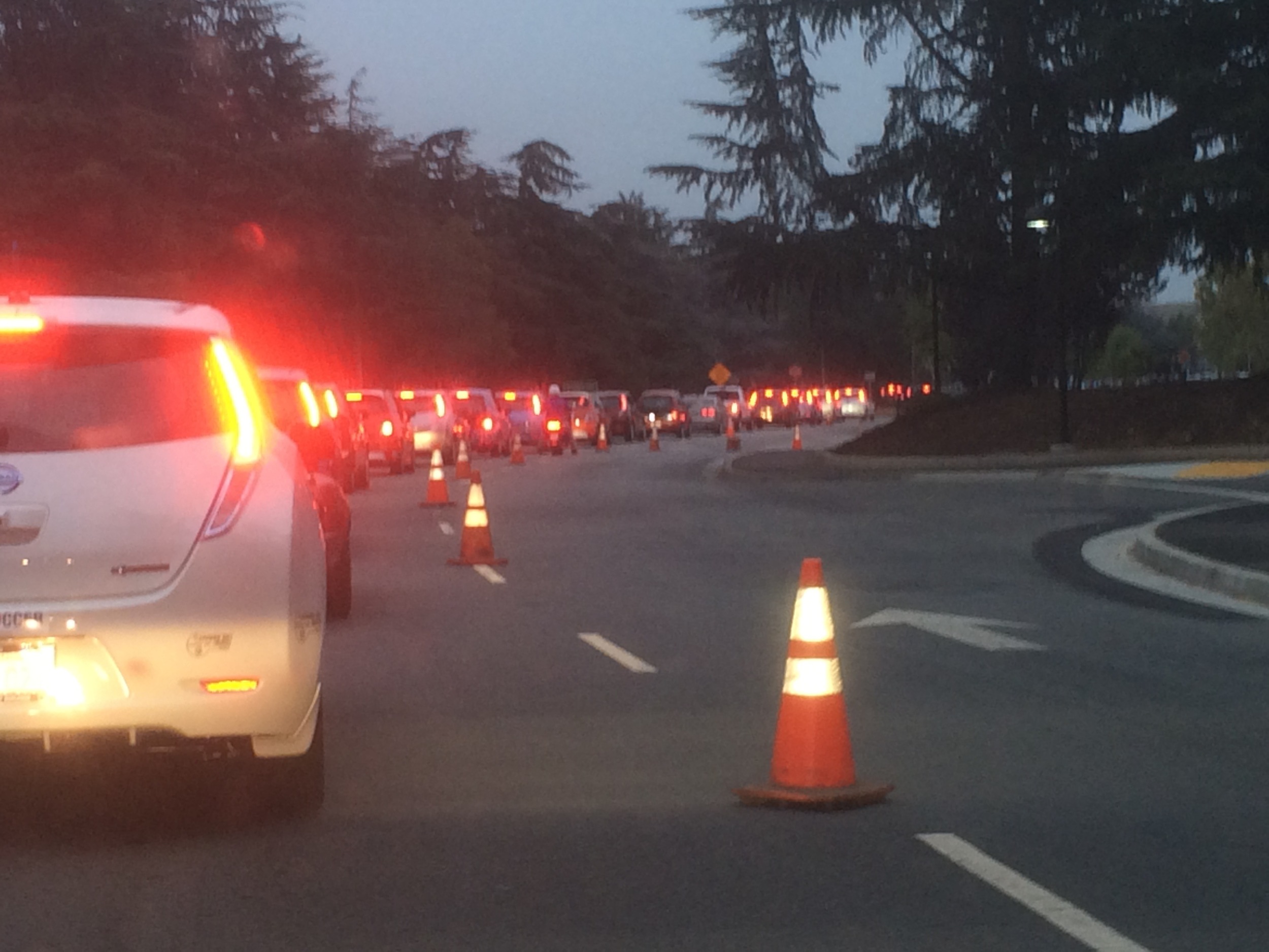 Electric cars as far as the eye can see!