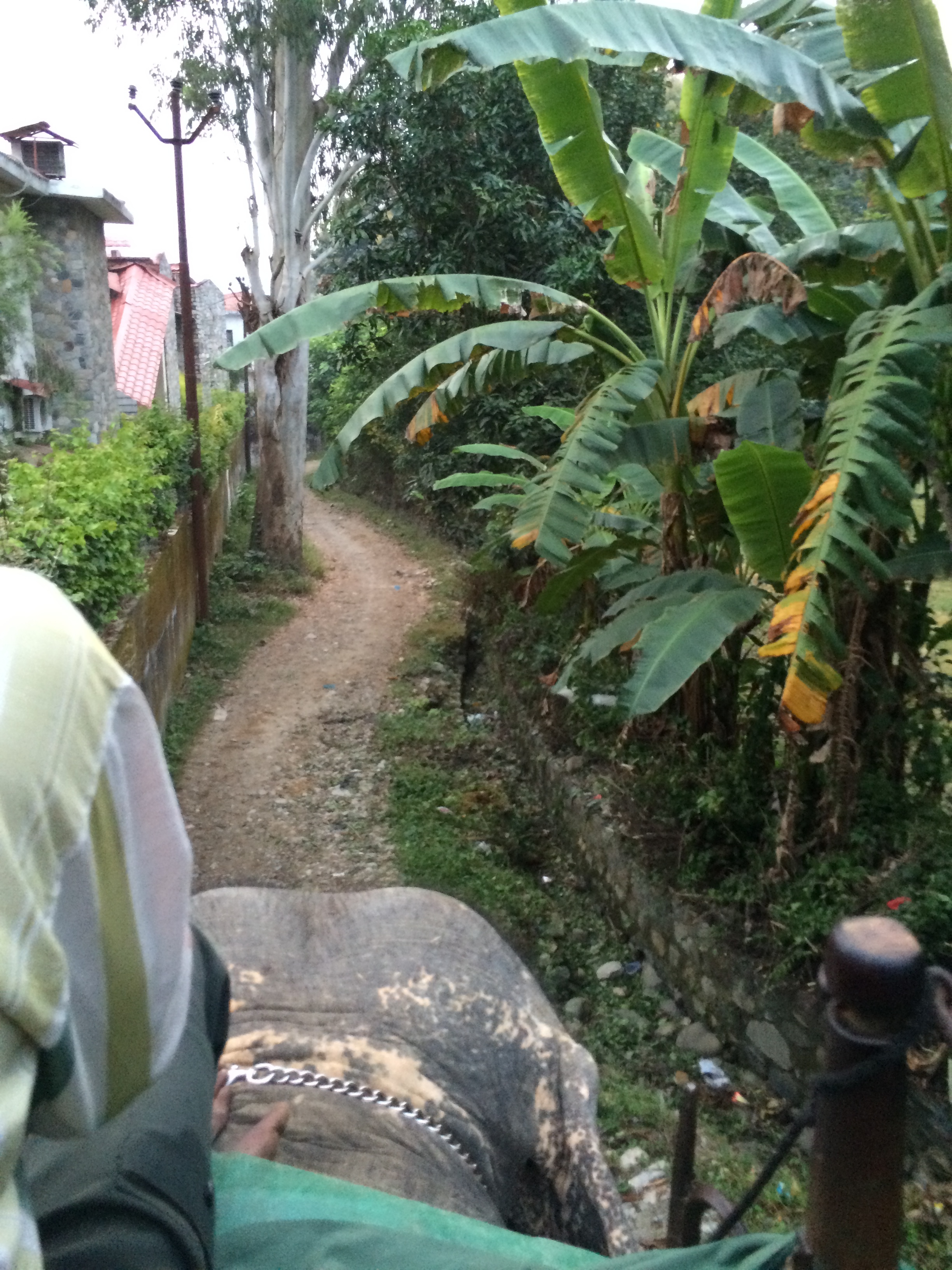 Kalina takes us through the village to the river
