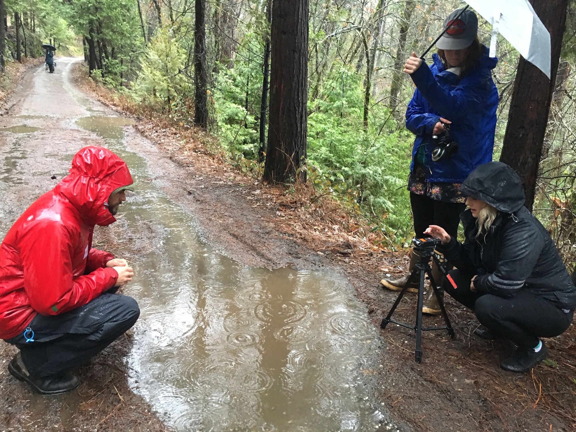 Recording the sound of raindrops on puddles 