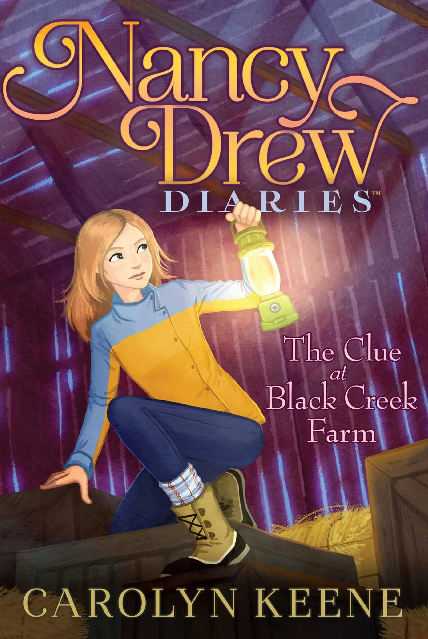 Nancy Drew Diaries, Cover Art