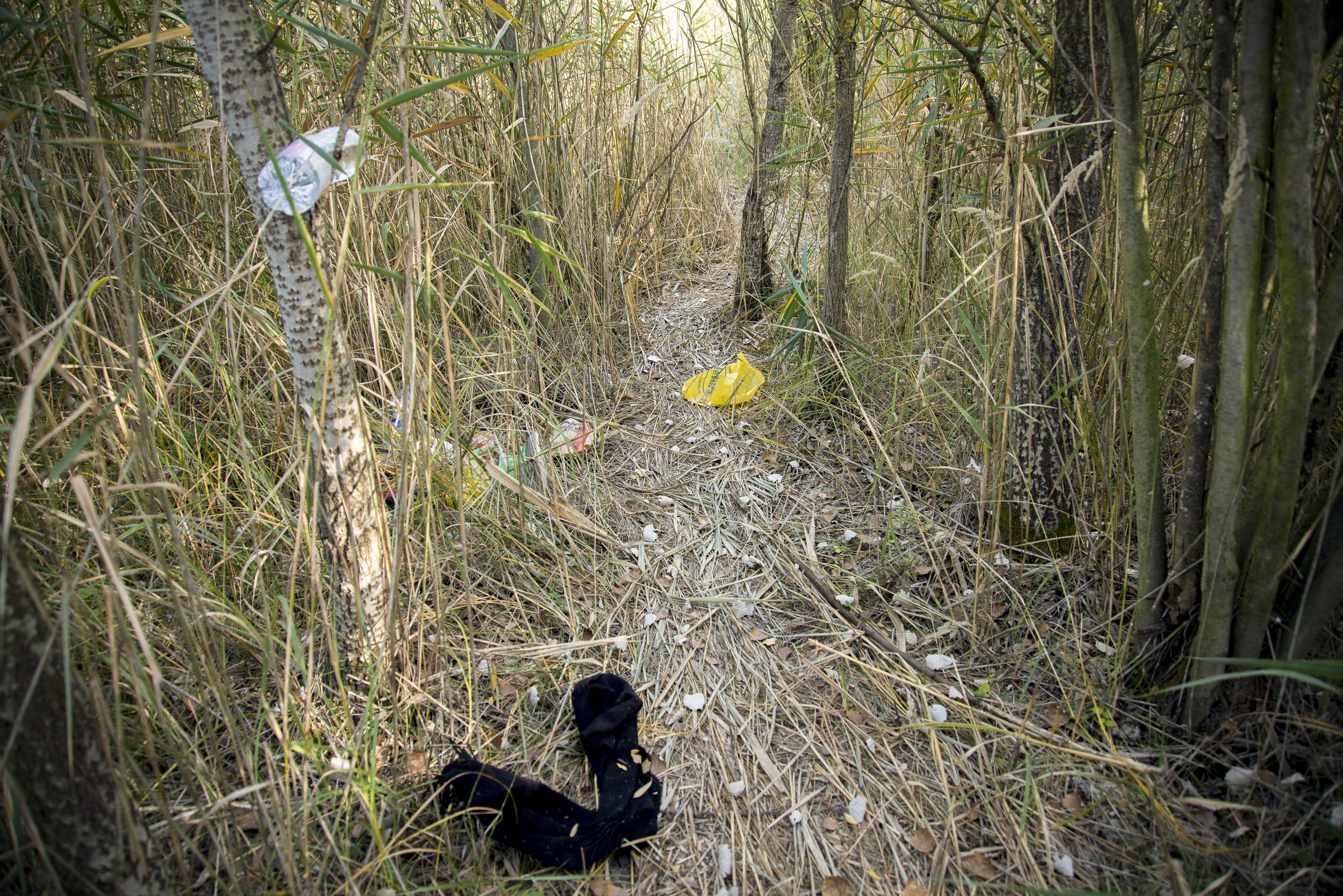 One of the paths that lead away from the border and is the way into Europe.